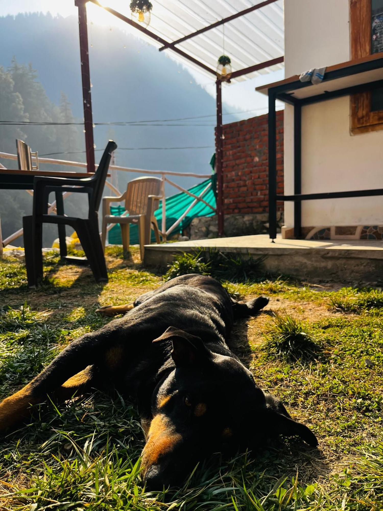 Hotel Adinova Kasol Dış mekan fotoğraf