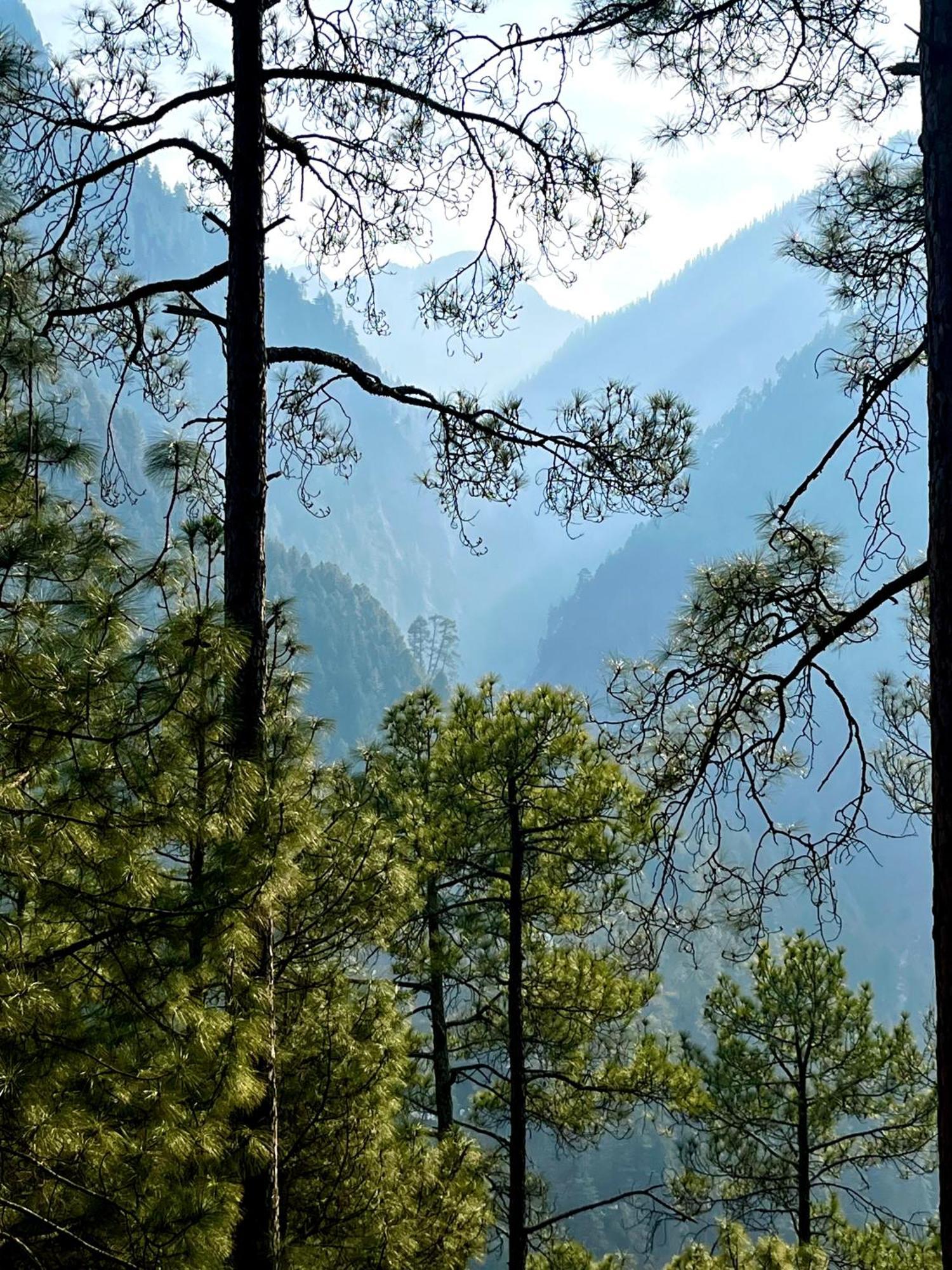 Hotel Adinova Kasol Dış mekan fotoğraf